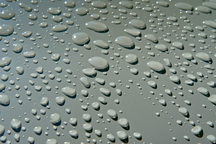 Water beading on coated car paint